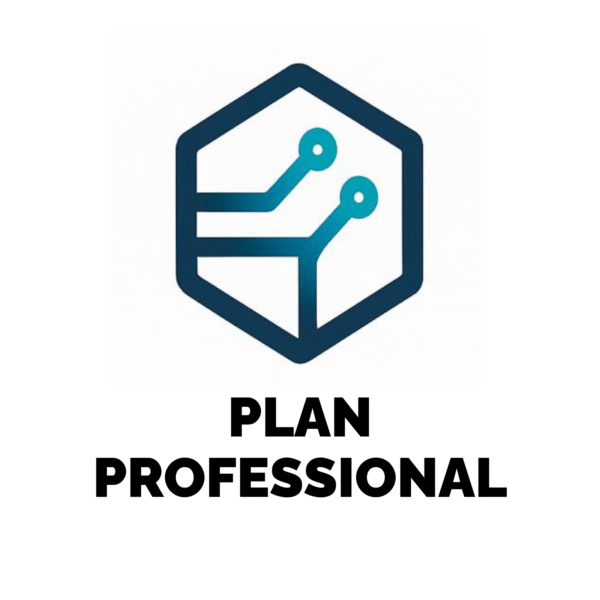 Plan Professional